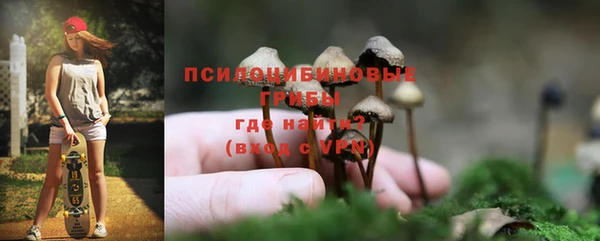 мяу мяу мука Армянск