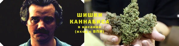 тгк Аркадак