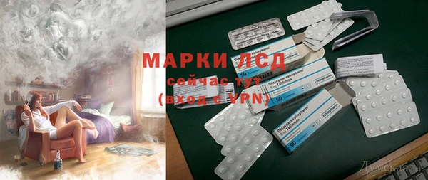 прущие грибы Арсеньев