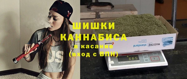 прущие грибы Арсеньев